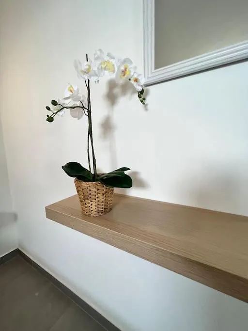 티나조 El Cercado 아파트 스페인